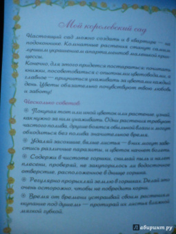 Дневничок секретов настоящей принцессы