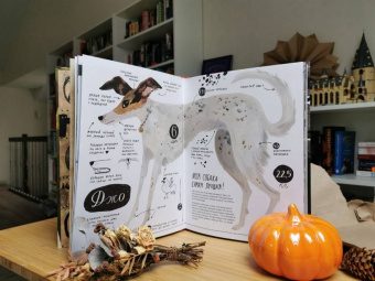 Елена Булай: Твоя собака