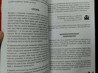 Шейн Сноу: Турбоэффект. Как добиться экстремального успеха за нереально короткий срок