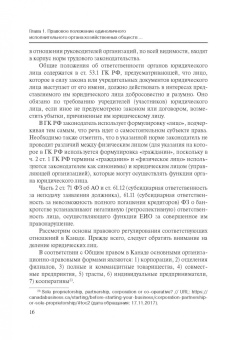 Сергей Шикин: Особенности оснований ответственности директоров корпораций