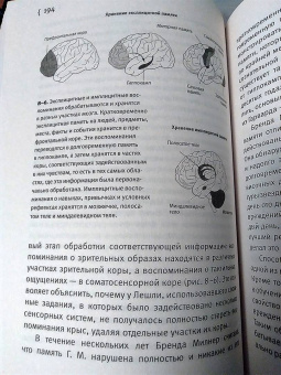 Эрик Кандель: В поисках памяти