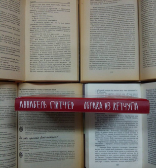 Аннабель Питчер: Облака из кетчупа