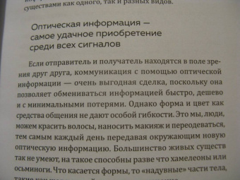 Мадлен Циге: В лесу никто не молчит. Как животные и растения общаются друг с другом