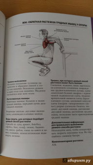 Анатомия стретчинга. Большая иллюстрированная энциклопедия