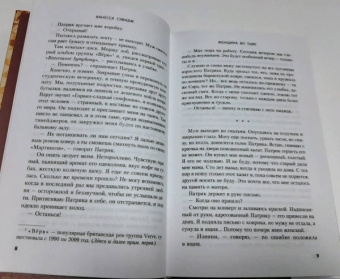 Ванесса Сэвидж: Женщина во тьме