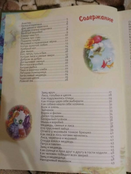 Осенние сказки
