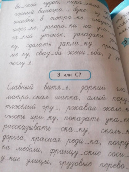 Александра Соболева: Учимся писать грамотно. Профилактика дисграфии