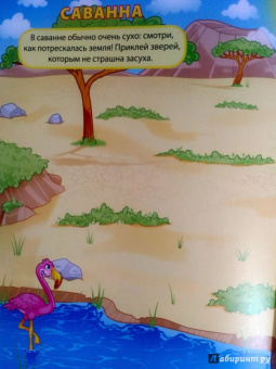 Животные