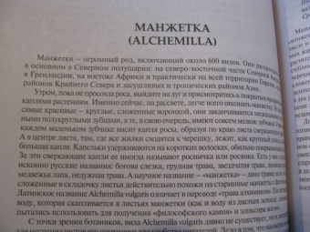 Вишневский, Замятина: Готовим из дикоросов. Травы
