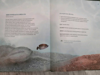 Лина Реншлебротен: Животные невидимки. Чудеса маскировки в дикой природе