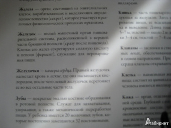 Кэрол Доннер: Тайны анатомии