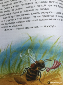 Виталий Бианки: Сказки