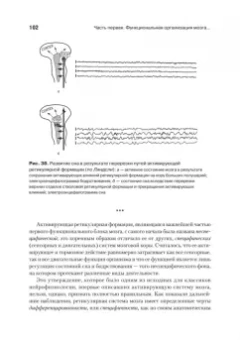 Александр Лурия: Основы нейропсихологии