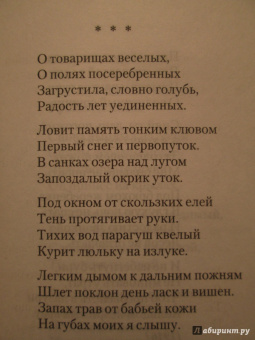 Сергей Есенин: Я московский озорной гуляка