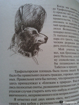 Андрей Белянин: Мой учитель Лис
