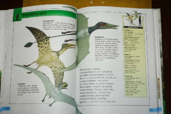 Дугал Диксон: Самые удивительные динозавры (красная)