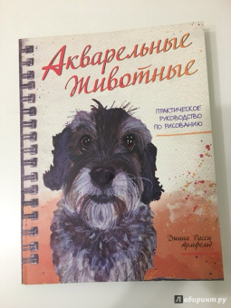 Джина Армфельд: Акварельные животные