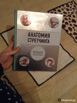 Анатомия стретчинга. Большая иллюстрированная энциклопедия