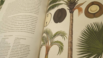 Кэти Уллис: Ботаникум