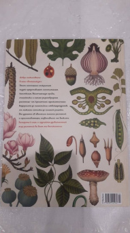 Кэти Уллис: Ботаникум