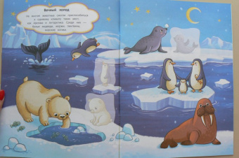 Живой мир. Книжка с наклейками