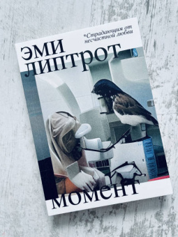 Эми Липтрот: Момент