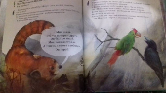 Ли Лефебуре: На крышу мира