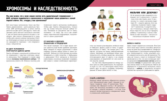 Анна Романо: Тело человека. Самая анатомическая энциклопедия