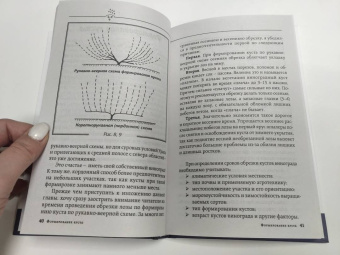 Виктор Жвакин: Виноград, голубика, малина, смородина и другие любимые ягоды. Особенности выращивания своими руками