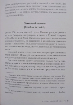 Фридрих Хайнбух: Пчелы. Что человек и пчела значат друг для друга