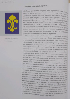 Бруно Кремер: Цветы. Естественная история