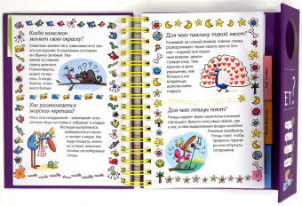 Мюлленхейм де: Как это работает?