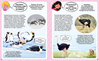 Кэти Франко: Ответы почемучкам. 100 вопросов обо всём на свете