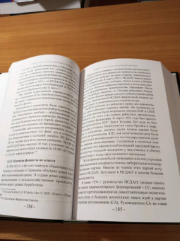 Александр Гапоненко: Европейский фашизм. Проблемы идентификации и предупреждения