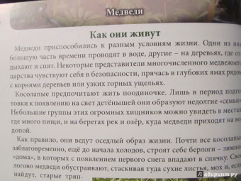 Ярослава Соколова: Хочу знать. Медведи