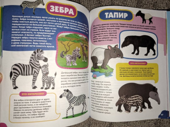 Анна Забирова: Животные для самых маленьких