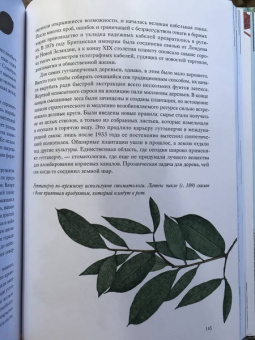 Джонатан Дрори: Вокруг света за 80 деревьев