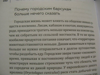 Мадлен Циге: В лесу никто не молчит. Как животные и растения общаются друг с другом