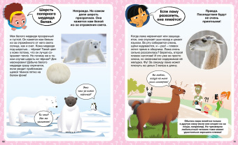 Кэти Франко: Правда или нет? 100 вопросов и ответов в картинках