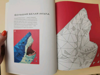 Карен Сид: Океан (+ более 800 арт-стикеров)