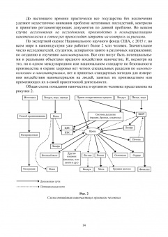 Блинов, Полякова, Соколов: Неорганические наноматериалы в медицине и онкологии. Экологические аспекты и риски