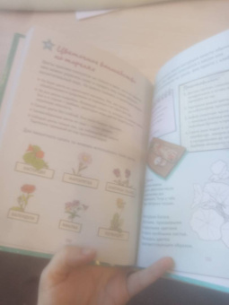 Никки Буш: Лучшая книга девочки. Более 200 классных идей