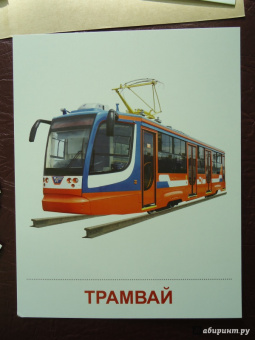 Цветкова, Шорыгина: Демонстрационные картинки "Транспорт" (16 картинок)