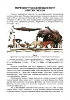 Машкин, Ларионова, Шевнина: Звери России. Учебное пособие