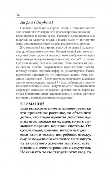 Галина Кизима: Цветник для тех, кому за... без лишних усилий