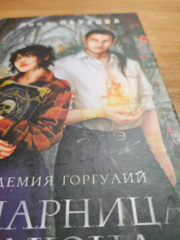Елена Обухова: Академия Горгулий. Напарница дракона