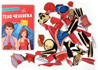 Адель Педрола: Тело человека. Интерактивная детская энциклопедия