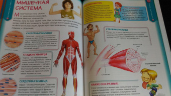 Детская энциклопедия для почемучек от 6 до 12 лет