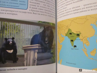 Ярослава Соколова: Хочу знать. Медведи