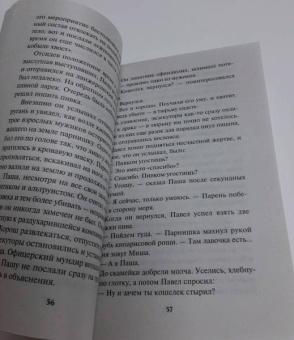 Александр Тамоников: Огненное побережье